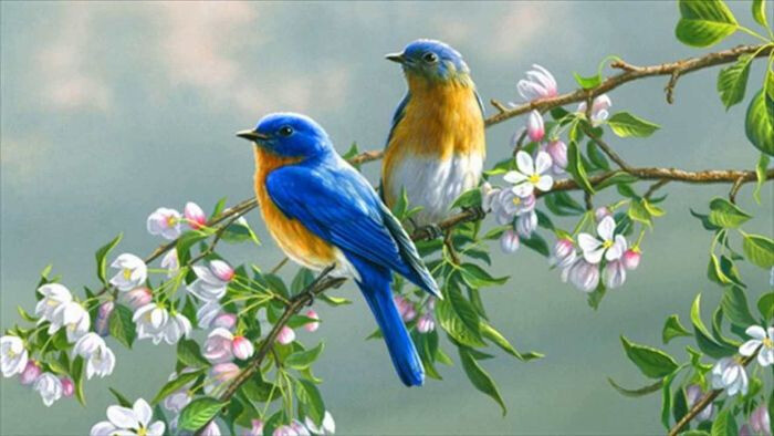 Giải mã giấc mơ thấy chim ẩn chứa điềm báo gì chi tiết nhất 9 Ngủ mơ thấy chim đánh con gì?