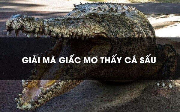 Giải mã giấc mơ: Mơ thấy cá sấu đánh con gì dễ dàng trúng lớn? 9 Mơ thấy một đàn cá sấu đánh con gì?